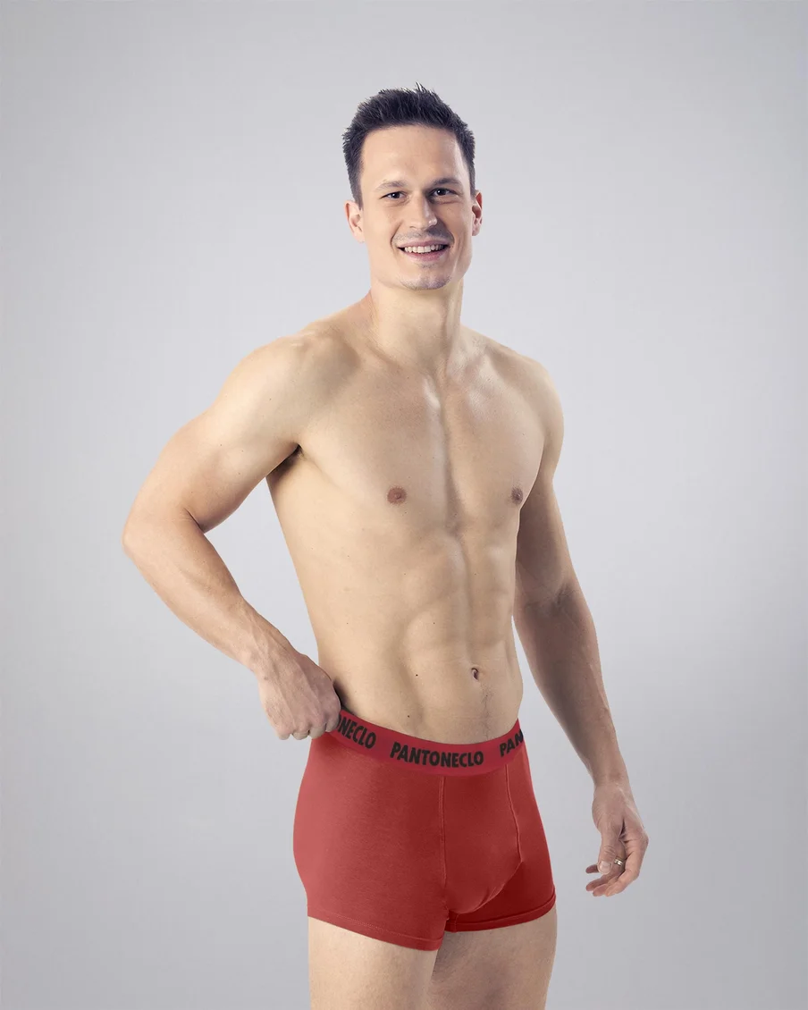 Image 5 of - mensboxerclassic10pack4jpg